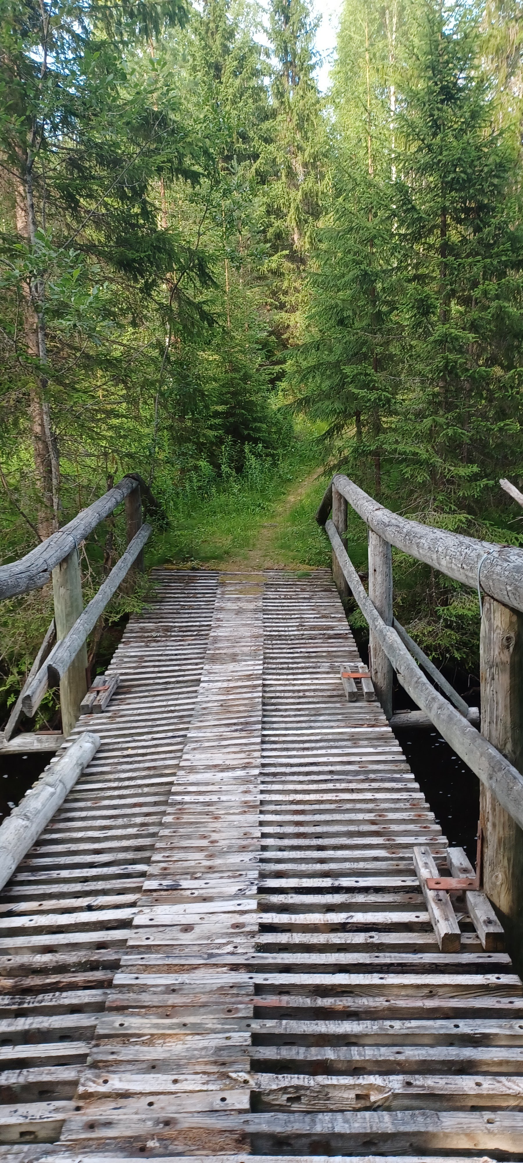 Hällämönharju Esker